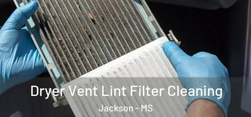 Dryer Vent Lint Filter Cleaning Jackson - MS