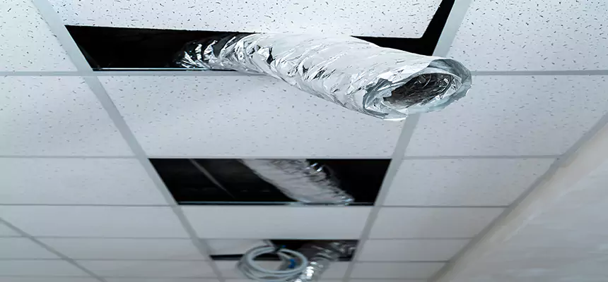 Affordable HVAC Sanitizing After Pest Removal in Jackson