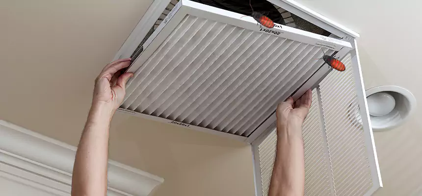 Our Insect Removal from Air Ducts Services in Jackson, MS