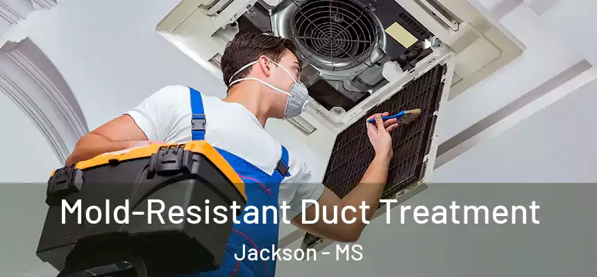  Mold-Resistant Duct Treatment Jackson - MS