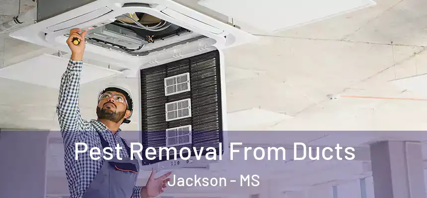 Pest Removal From Ducts Jackson - MS