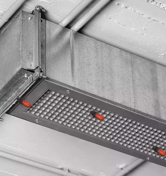 About Air Duct Cockroach Removal in Jackson, MS