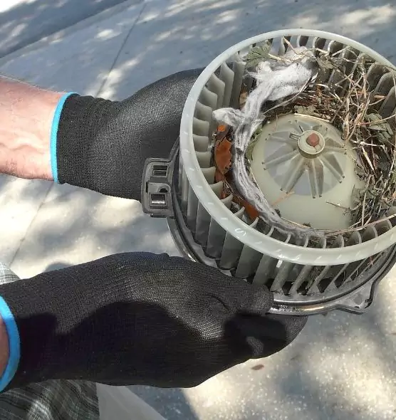 About Air Duct Mice Removal in Jackson, MS