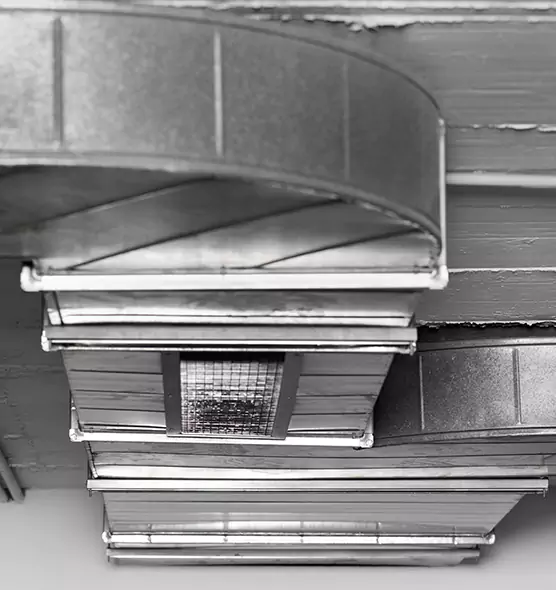 Professional Air Duct Pet Hair Removal in Jackson, MS