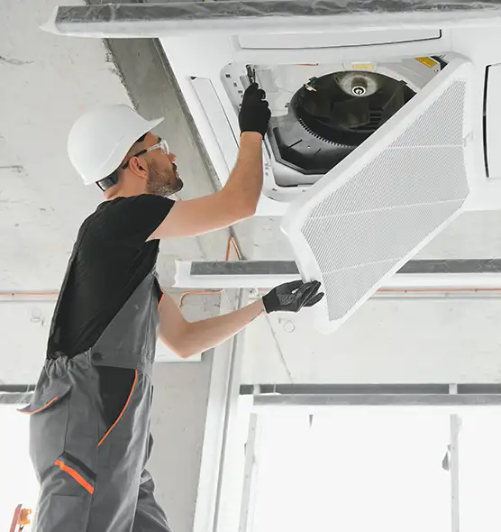 About Air Duct Rodent Removal in Jackson, MS