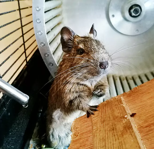 Why Homeowners & Businesses Trust Us Jackson, MS