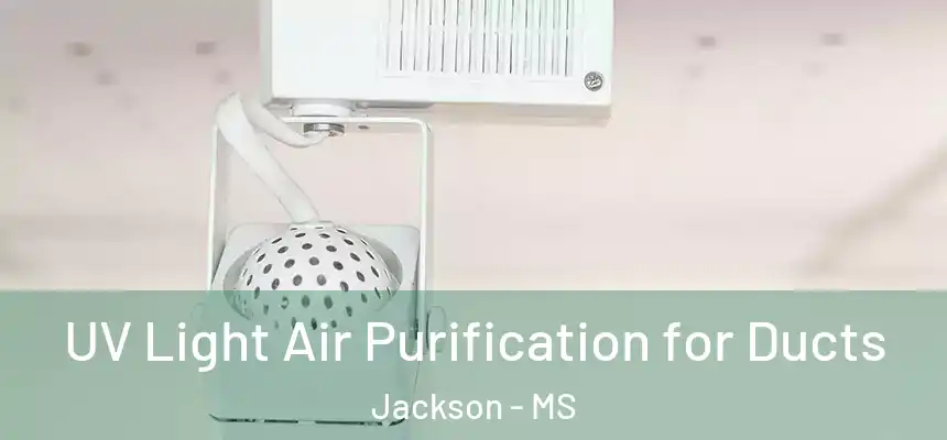 UV Light Air Purification for Ducts Jackson - MS